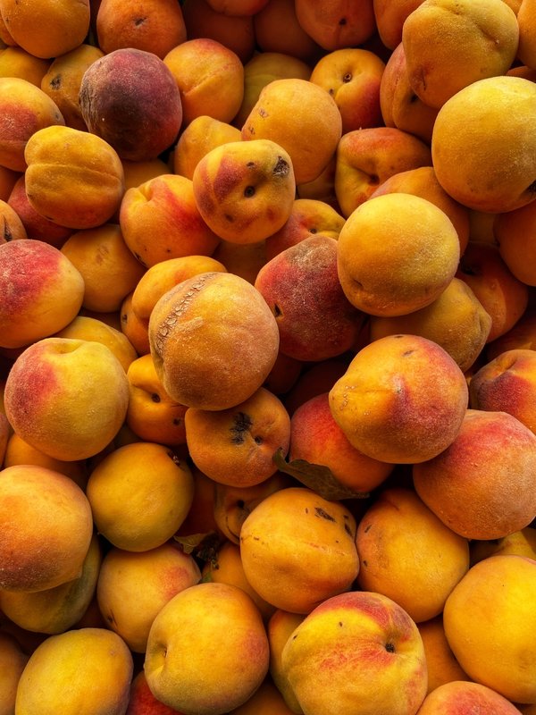 Quels sont les meilleurs endroits pour une expérience de pêche blanche en Finlande ?